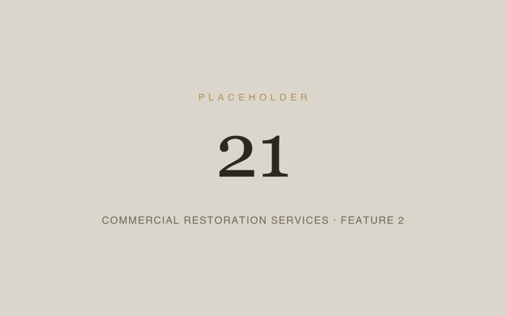 Placeholder 21 — Commercial Restoration Services · Feature 2