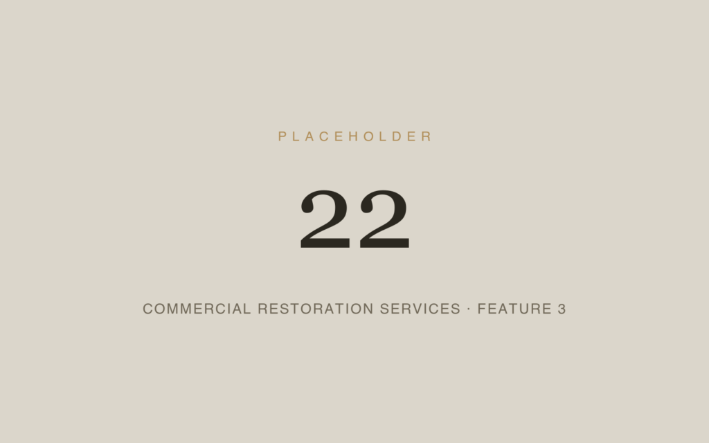 Placeholder 22 — Commercial Restoration Services · Feature 3