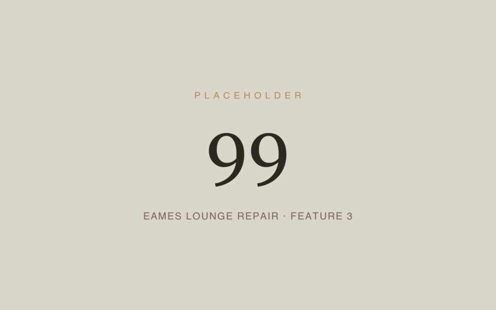 Placeholder 99 — Eames Lounge Repair · Feature 3
