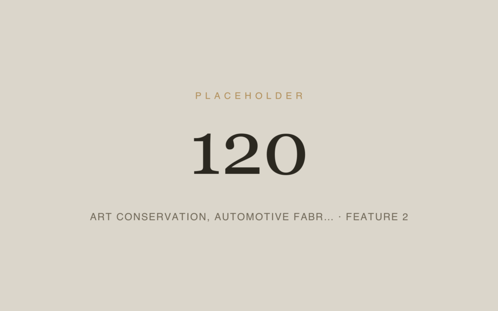 Placeholder 120 — Art Conservation, Automotive Fabr… · Feature 2