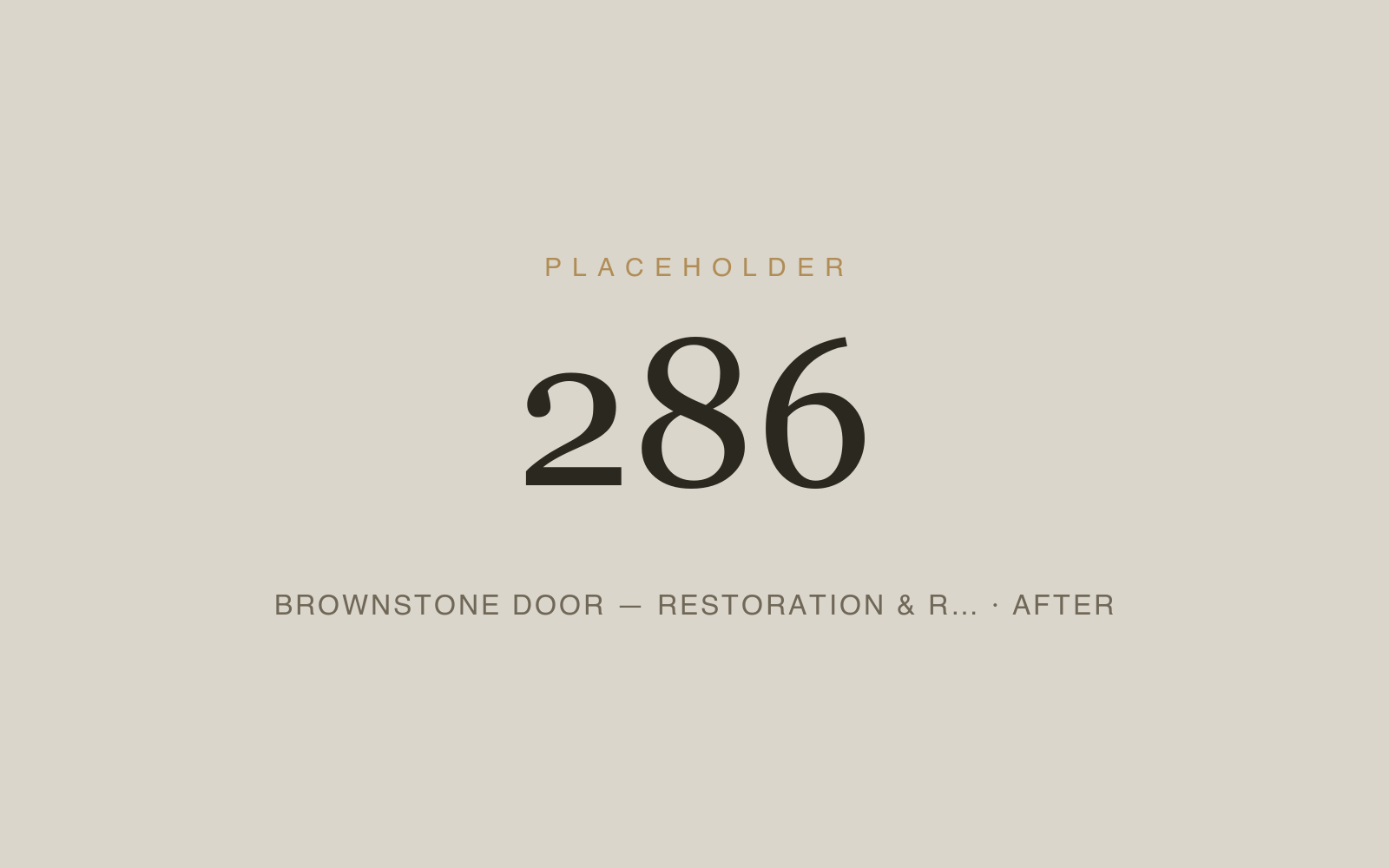 Brownstone Door — Restoration & Refinishing