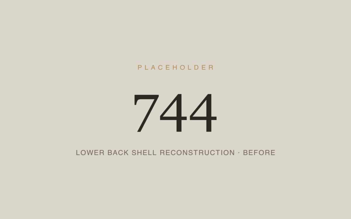 Lower Back Shell Reconstruction