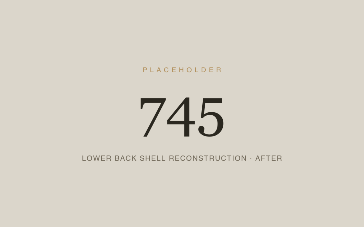 Lower Back Shell Reconstruction