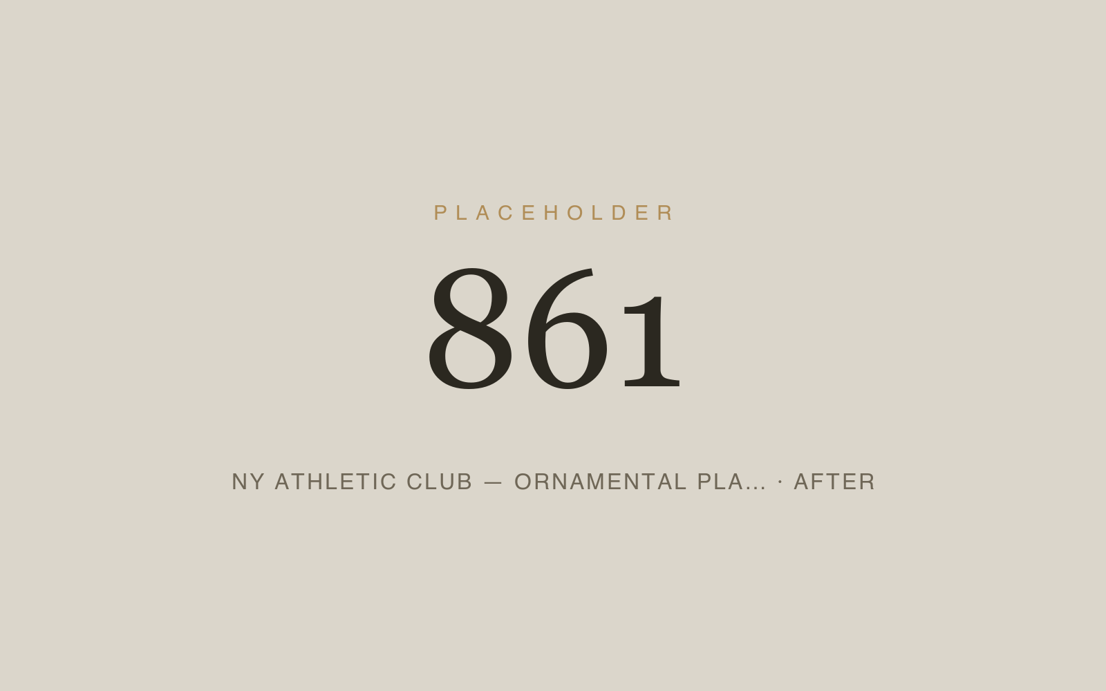 NY Athletic Club — Ornamental Plaster & Decorative Paint Conservation